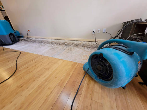 Professional Water Damage Repair technician working in Westmont, CA
